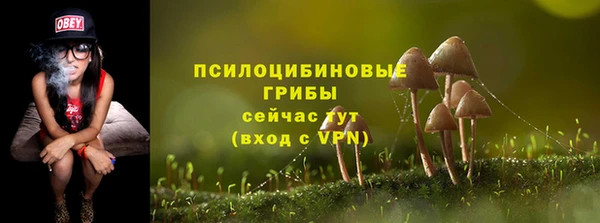 мдпв Переславль-Залесский