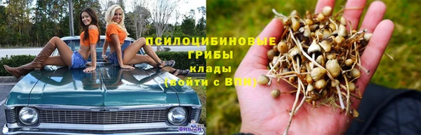 ALPHA-PVP Пересвет