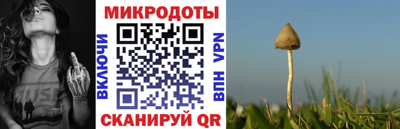 закладка  Балахна  MEGA сайт  Галлюциногенные грибы мухоморы 