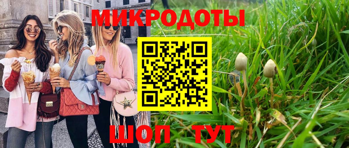 Галлюциногенные грибы Cubensis Балахна