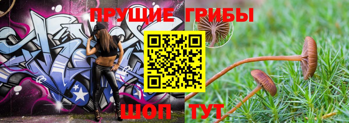 Балахна  Псилоцибиновые грибы Magic Shrooms  Вход с VPN 