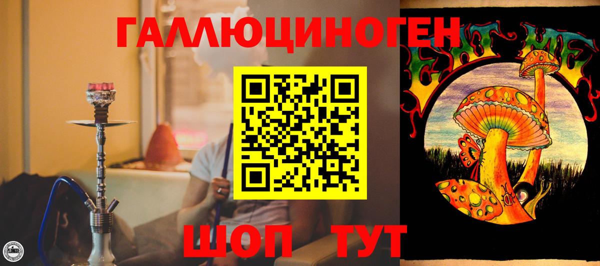 Галлюциногенные грибы Magic Shrooms  где купить наркоту  Балахна  Галлюциногенные грибы мицелий 