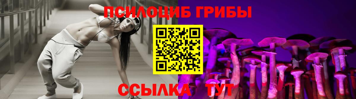 Псилоцибиновые грибы GOLDEN TEACHER Балахна